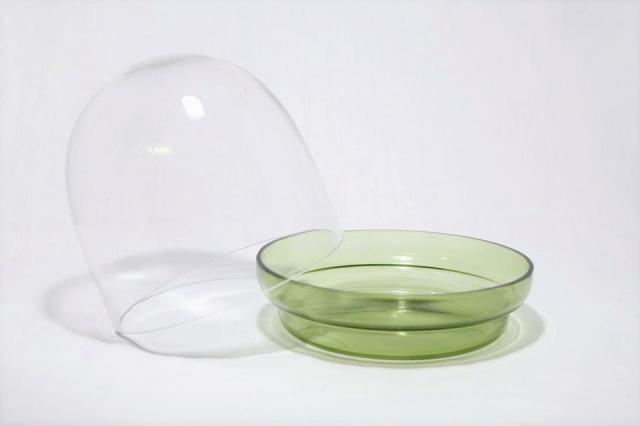 コケリウムガラス容器 ガラスドーム20 グリーン(フタ付)：画像2