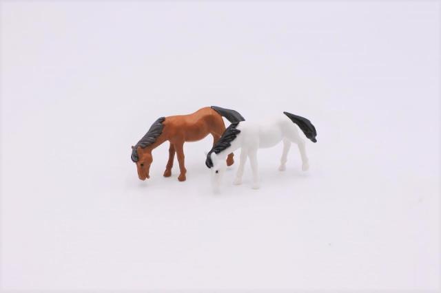 コケリウムフィギュアセット 馬2種：画像1
