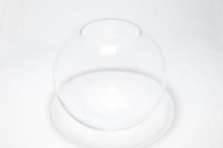 コケリウムガラス容器　スフィア：画像2