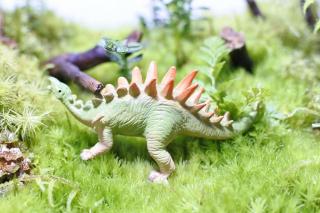 コケリウムフィギュア 恐竜 トゥオジャンゴサウルス：画像1