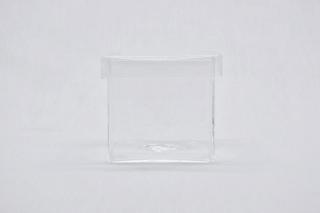 コケリウムガラス容器　キューブM（フタ付）：画像1