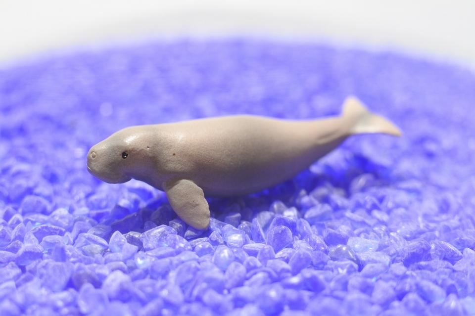 コケリウムフィギュア ジュゴン