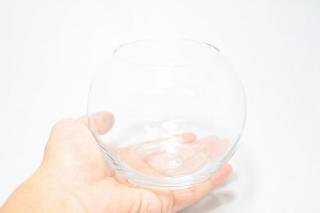 コケリウムガラス容器　ボール2S：画像3