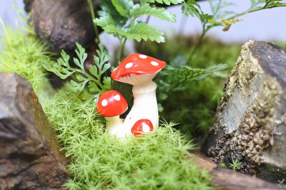 コケリウムフィギュア きのこ 傘閉じ レッド