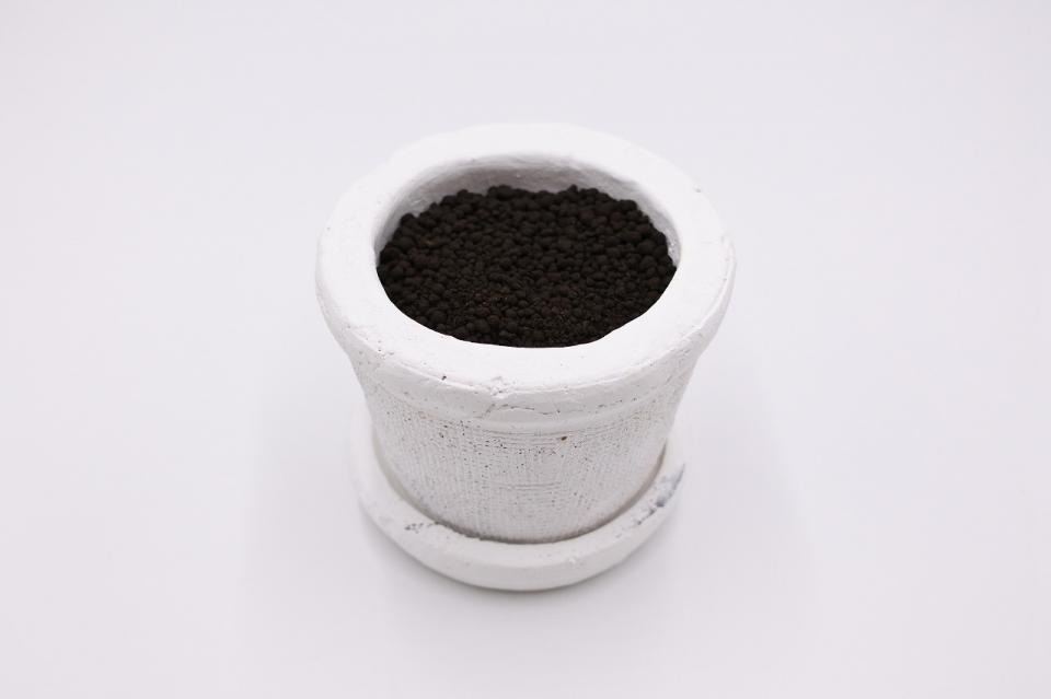 コケリウムキット 陶器の鉢植え ガジュマル：画像3