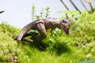 コケリウムフィギュア 恐竜 ティラノサウルス 威嚇：画像1