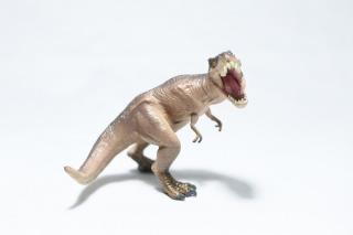 コケリウムフィギュア 恐竜 ティラノサウルス 威嚇：画像2