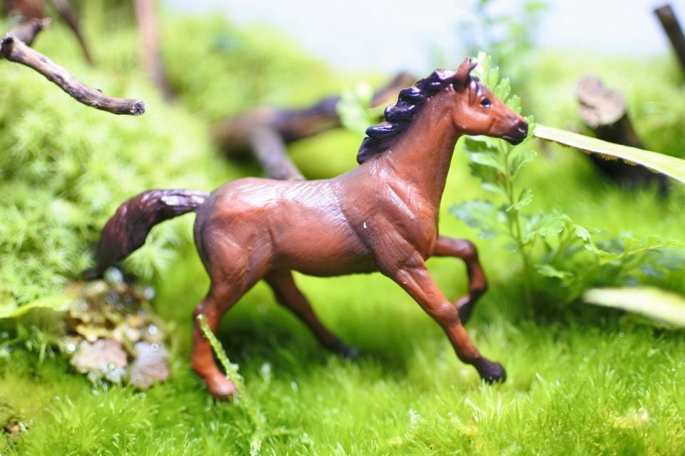 コケリウムフィギュア 馬