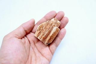 紅木化石SS（形状お任せ）：画像1