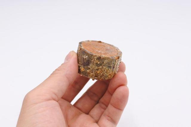 きのこが生える小さな切り株 ヌメリスギタケ ミニハーフ(形状お任せ)：画像1