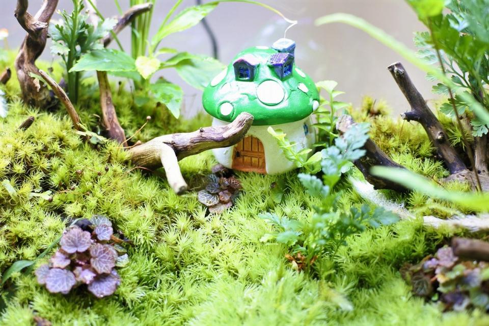 コケリウムフィギュア きのこのお家L グリーン