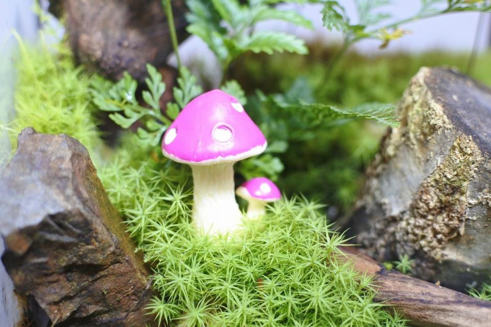 コケリウムフィギュア きのこ 傘閉じ パープル