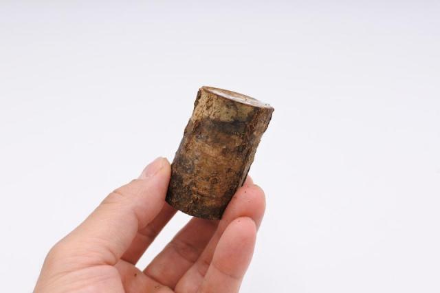 きのこが生える小さな切り株 エノキタケ ミニミニ(形状お任せ)：画像1