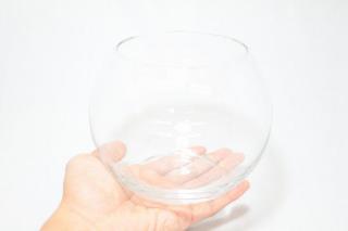 コケリウムガラス容器　ボールS：画像3