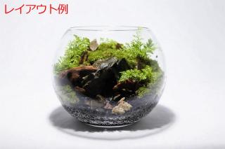 山石SS（形状お任せ）：画像12
