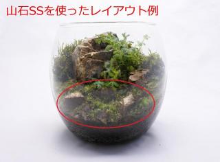 山石SS（形状お任せ）：画像6