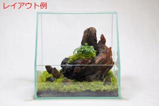 山石SS（形状お任せ）：画像9