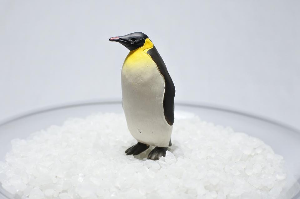 コケリウムフィギュア コウテイペンギン