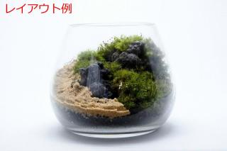 暗黒石SS（形状お任せ）：画像5
