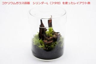 コケリウムガラス容器　シリンダーL（フタ付）：画像5