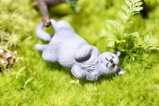 コケリウムフィギュア 猫 ブリティッシュショートヘアー：画像1