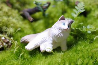 コケリウムフィギュア 猫 ラグドール：画像1