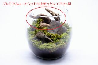 プレミアムルートウッド 3Sサイズ 3本セット（形状お任せ）：画像3