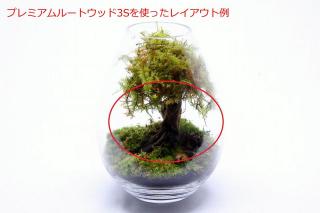 プレミアムルートウッド 3Sサイズ 3本セット（形状お任せ）：画像5