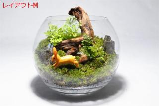 プレミアムルートウッド 3Sサイズ 3本セット（形状お任せ）：画像7