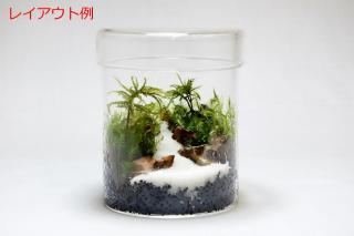 気孔石SS（形状お任せ、パック詰め）：画像5