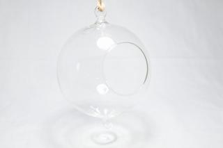 コケリウムガラス容器 ハンギングベース ボール16：画像2