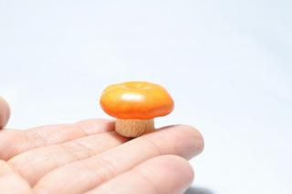 コケリウムフィギュア きのこ シングル オレンジ：画像3