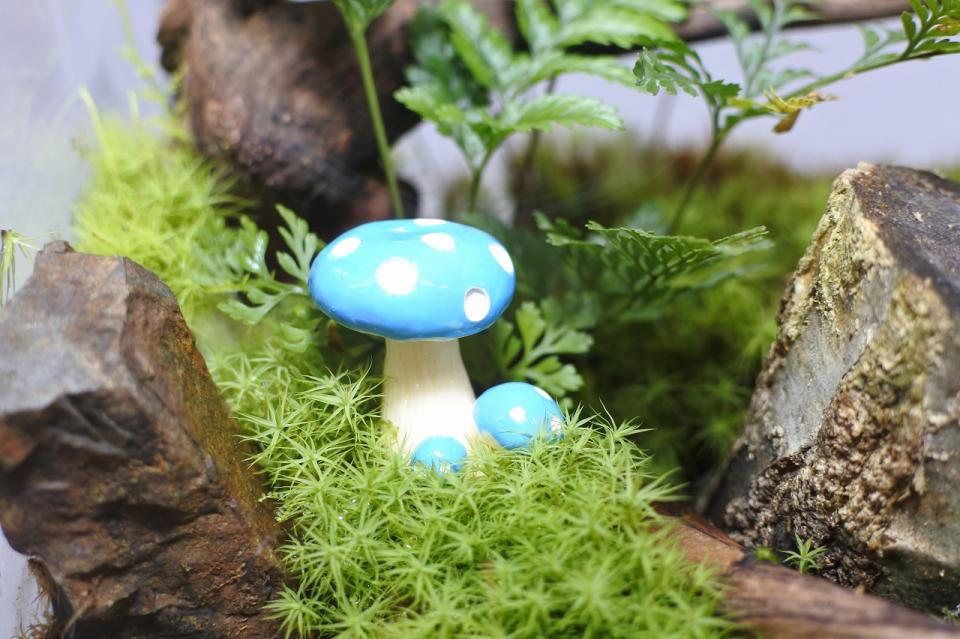 コケリウムフィギュア きのこ 傘閉じ ブルー