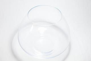 コケリウムガラス容器　オレヨン25：画像2