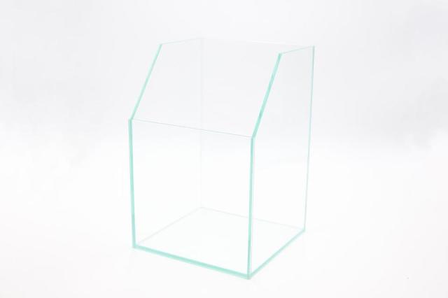 コケリウムガラス容器　20cmテラリウムH：画像1