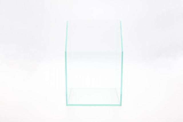 コケリウムガラス容器　20cmテラリウムH：画像2