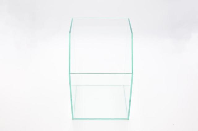 コケリウムガラス容器　20cmテラリウムH：画像3