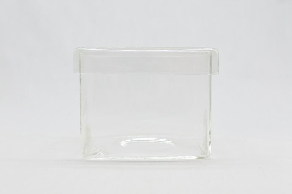 コケリウムガラス容器　キューブL（フタ付）