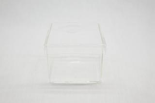 コケリウムガラス容器　キューブL（フタ付）：画像2