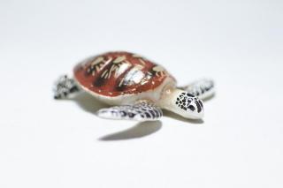 コケリウムフィギュア アオウミガメ：画像2