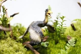 コケリウムフィギュア 恐竜 始祖鳥：画像1