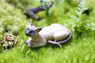 コケリウムフィギュア 猫 シャム：画像1
