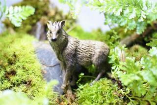 コケリウムフィギュア カモシカ：画像1