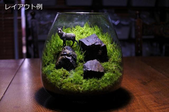 コケリウムフィギュア カモシカ：画像4