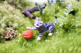 コケリウムフィギュア 猫 アメリカンショートヘアー：画像1