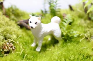 コケリウムフィギュア 犬 北海道犬：画像1