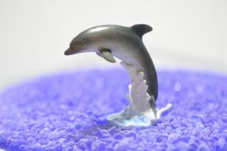 コケリウムフィギュア バンドウイルカ：画像1