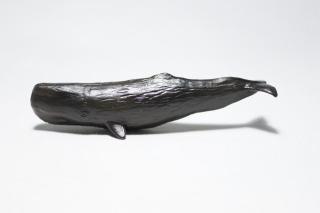 コケリウムフィギュア マッコウクジラ：画像2