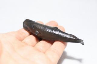 コケリウムフィギュア マッコウクジラ：画像3
