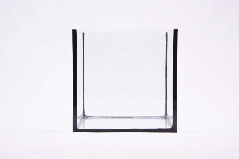 コケリウムガラス容器　15cmキューブBK S(フタ付)